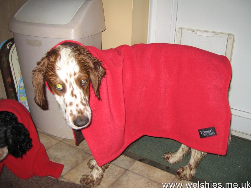 2011-05-15 08.JPG - Who, me?